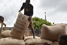 Drame : Un homme tué par un sac de cacao